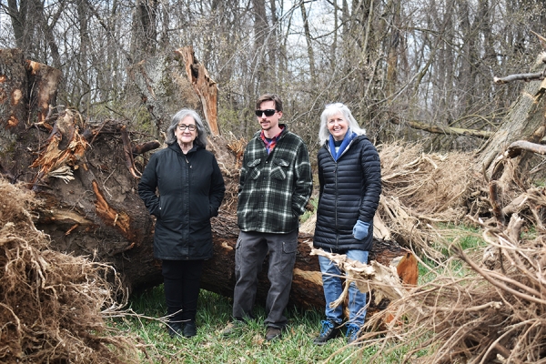 three people standing in front of a fallen tree trunk with its roots attached. 