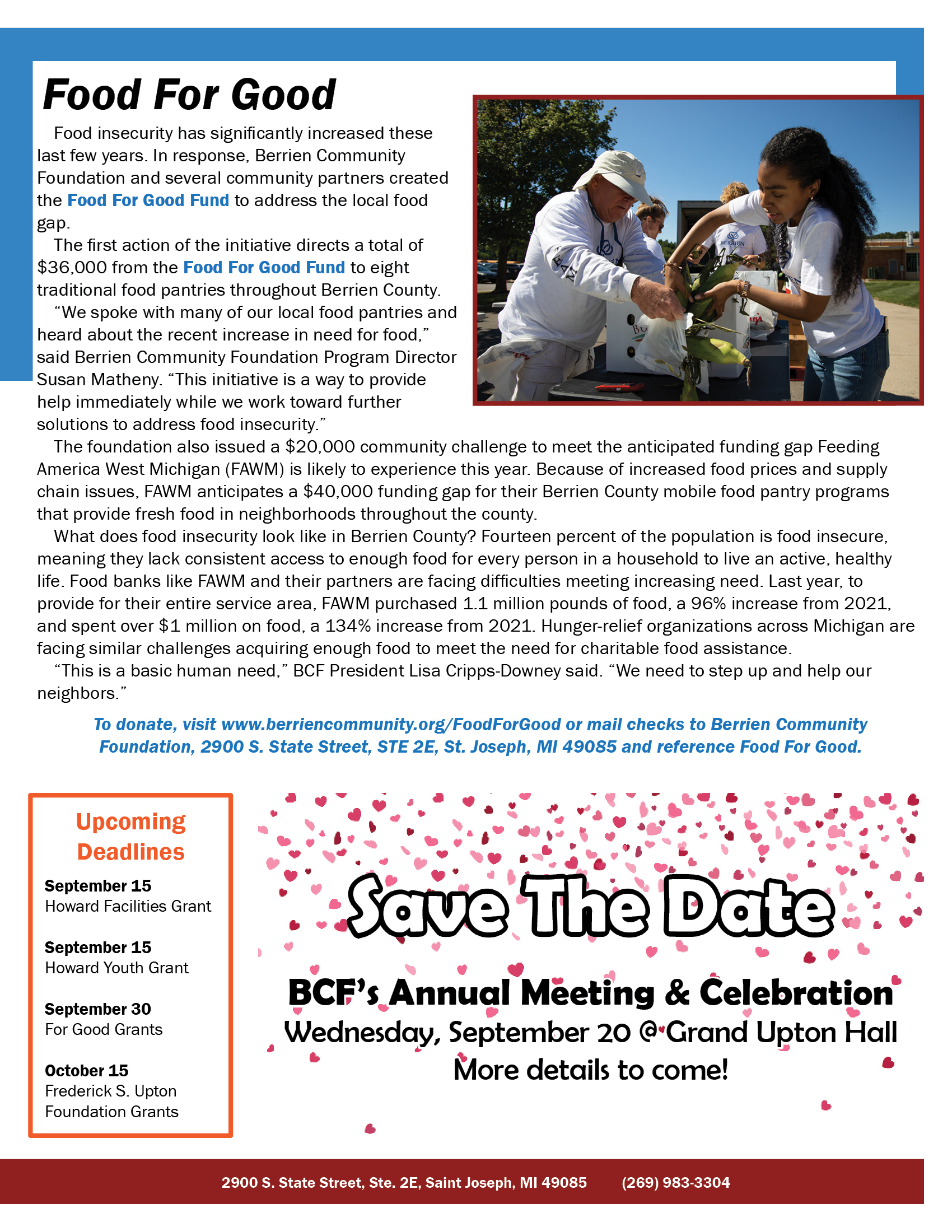 Screenshot of downloadable newsletter