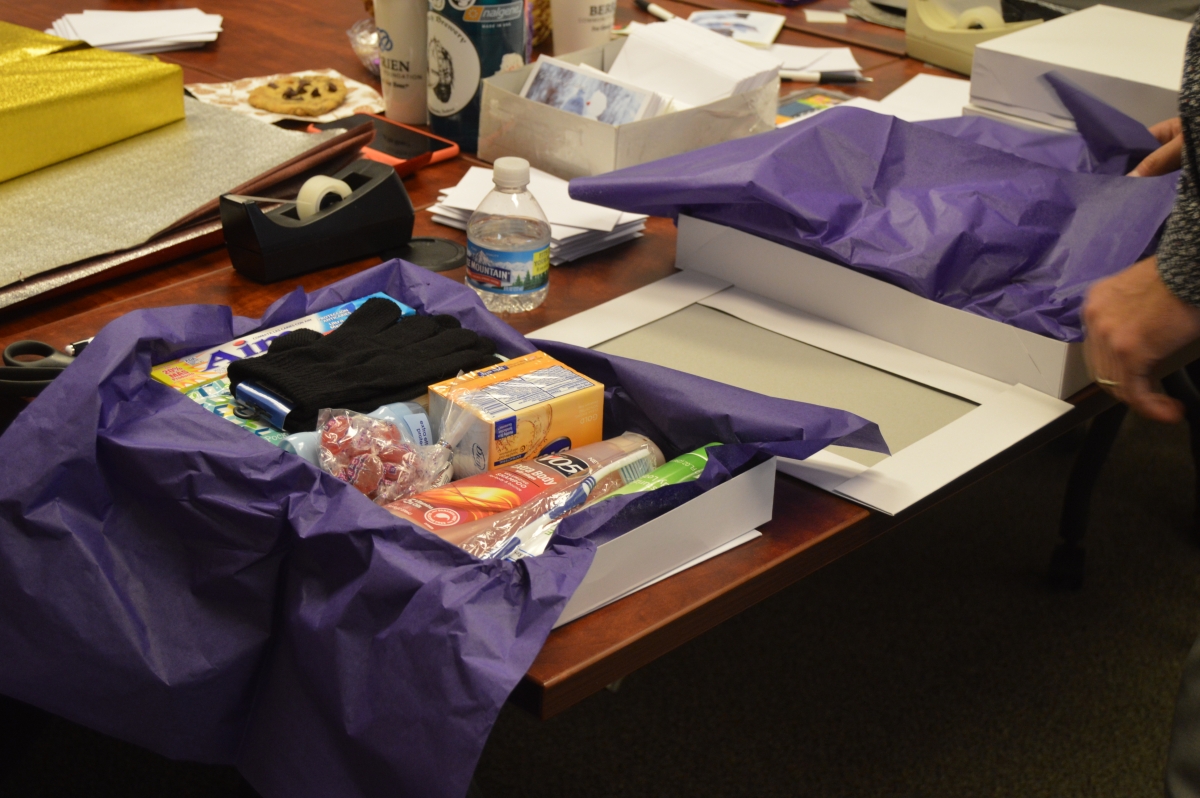 a photo showing items in the senior care kit, which includes gloves, soap and shampoo