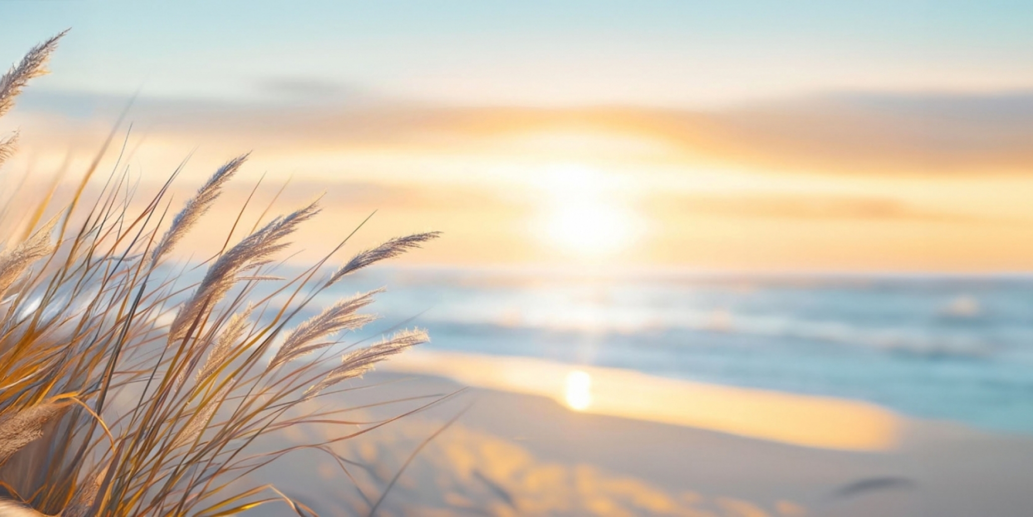 Beach grass with a sun setting on a lake.